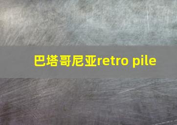 巴塔哥尼亚retro pile